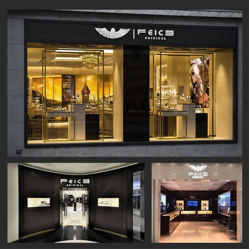 Bauhaus Elegance! FEICE FM121 Automatic Mechanical Dress Watch – Stainless Steel, Full Calendar, Domed Mirror Design